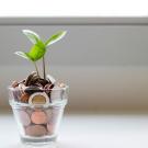 A small plant sprouting out of a pot full of coins.
