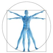 Blue vitruvian man 