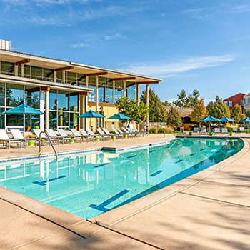 Thumbnail image of West Village lap pool.