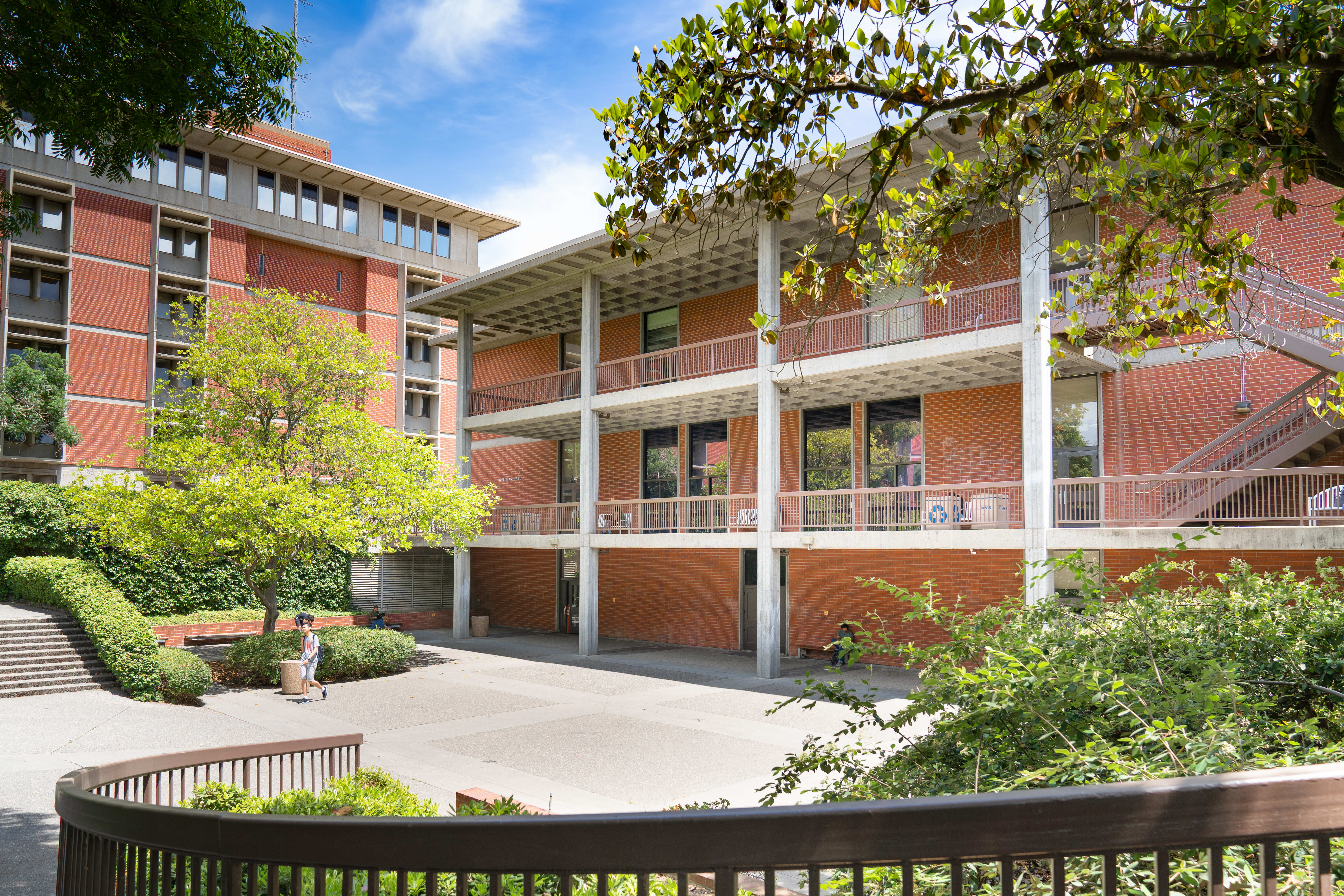 The outside of Wellman Hall, dotted with green trees and shrubbery.
