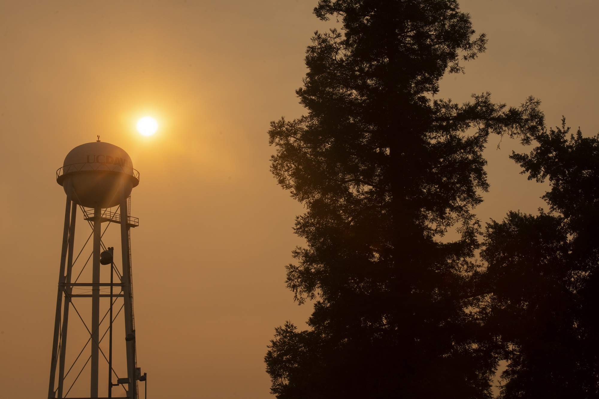 wildfire smoke on UC Davis campus with water tower in background. 