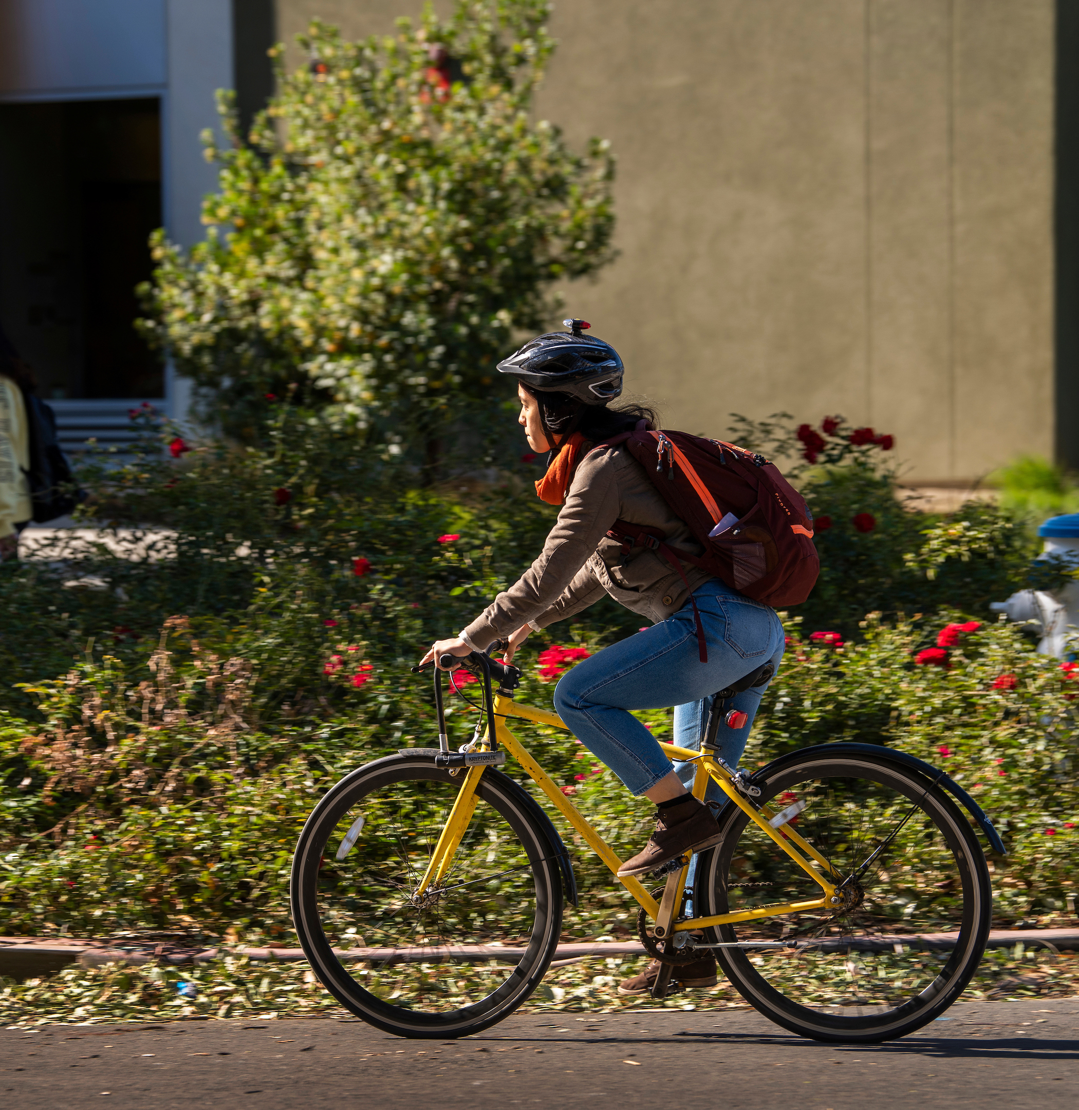 Student riding bike on campus