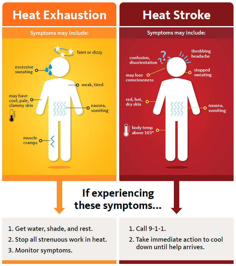 heat illness symptoms