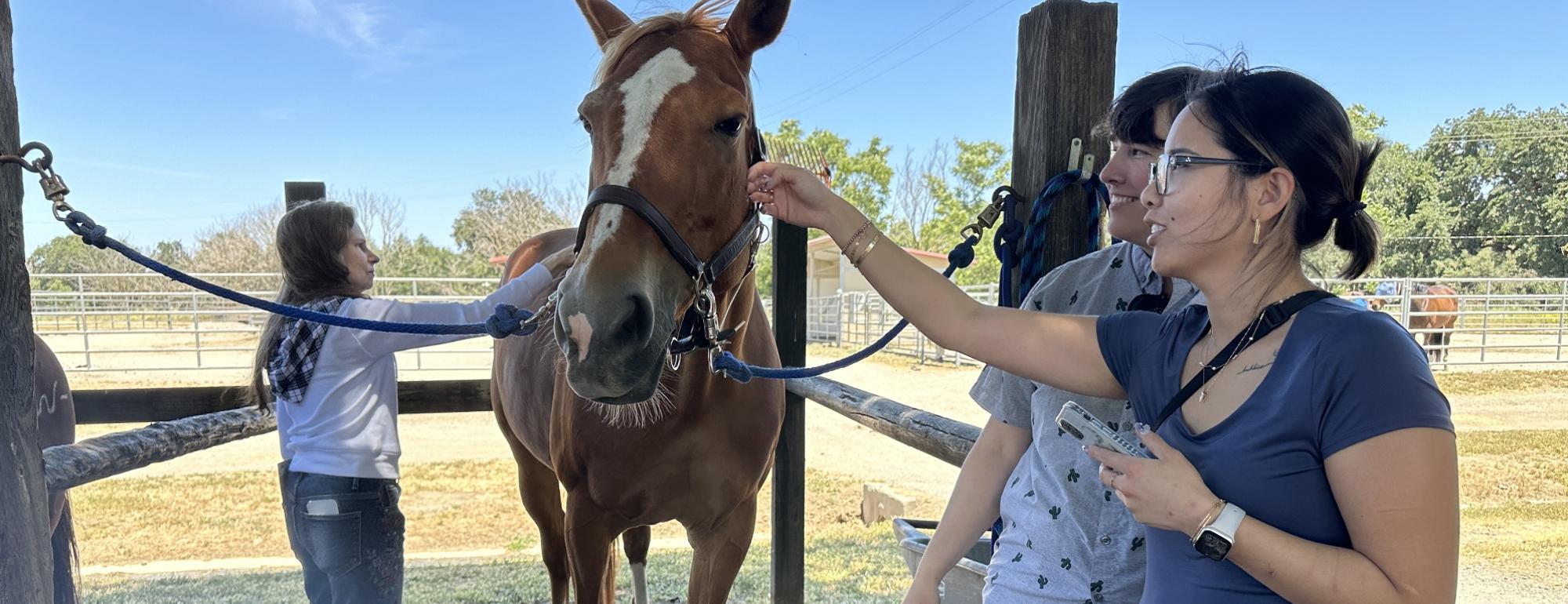 Three people standing next to a brown horse that is tied to a wooden post