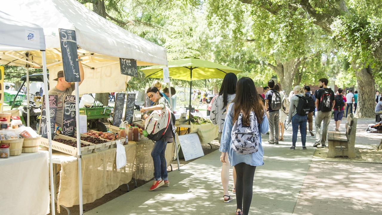 uc davis farmers market