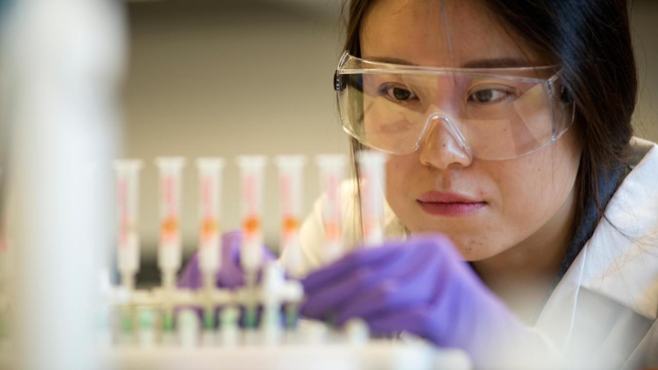 Photo of a researcher.