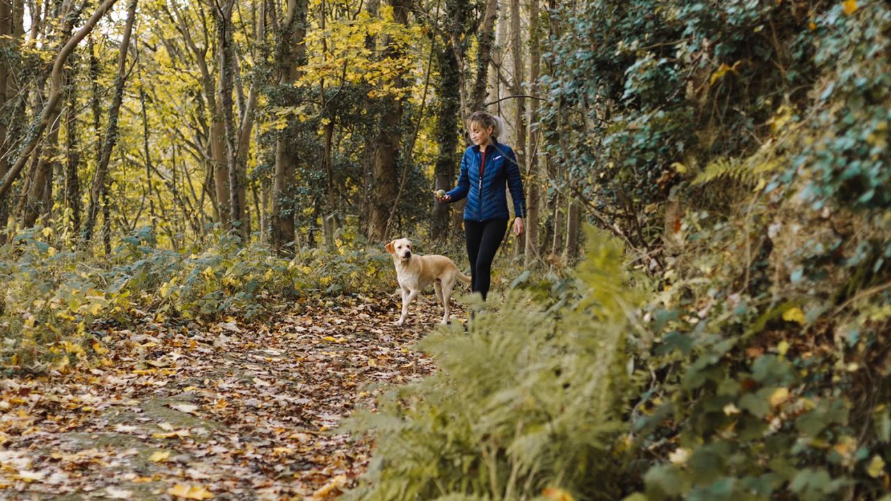 woman walking her dog in the forest