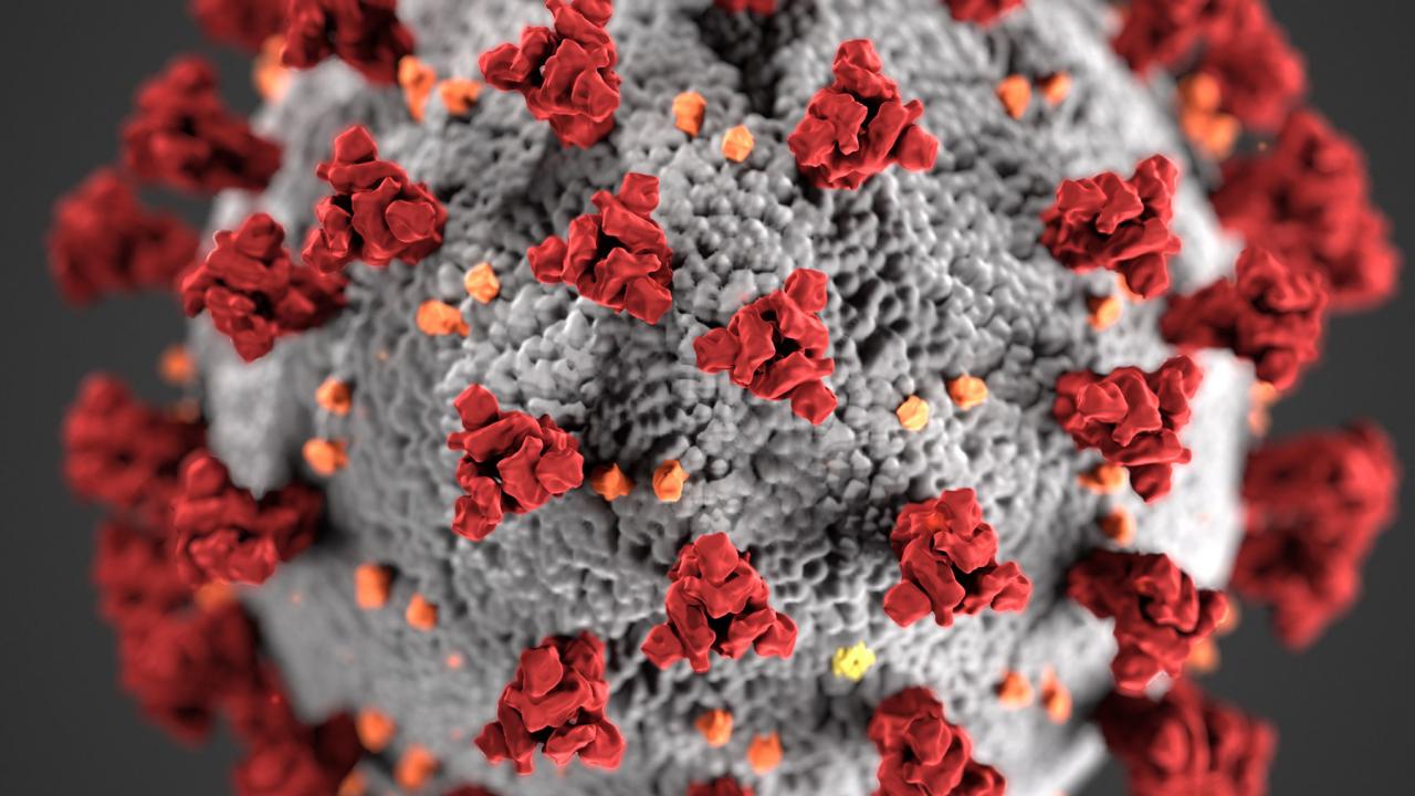 image of coronavirus under microscope
