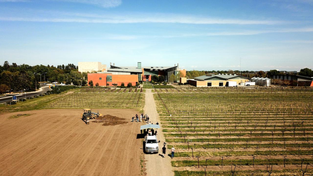 Aerial view of a vineyard expansion project at UC Davis, featuring rows of grapevines, a dirt field, and a group of people working near a tractor. A white truck is parked on a dirt road leading to modern agricultural research buildings in the background. The sky is clear and blue, with a few wispy clouds.