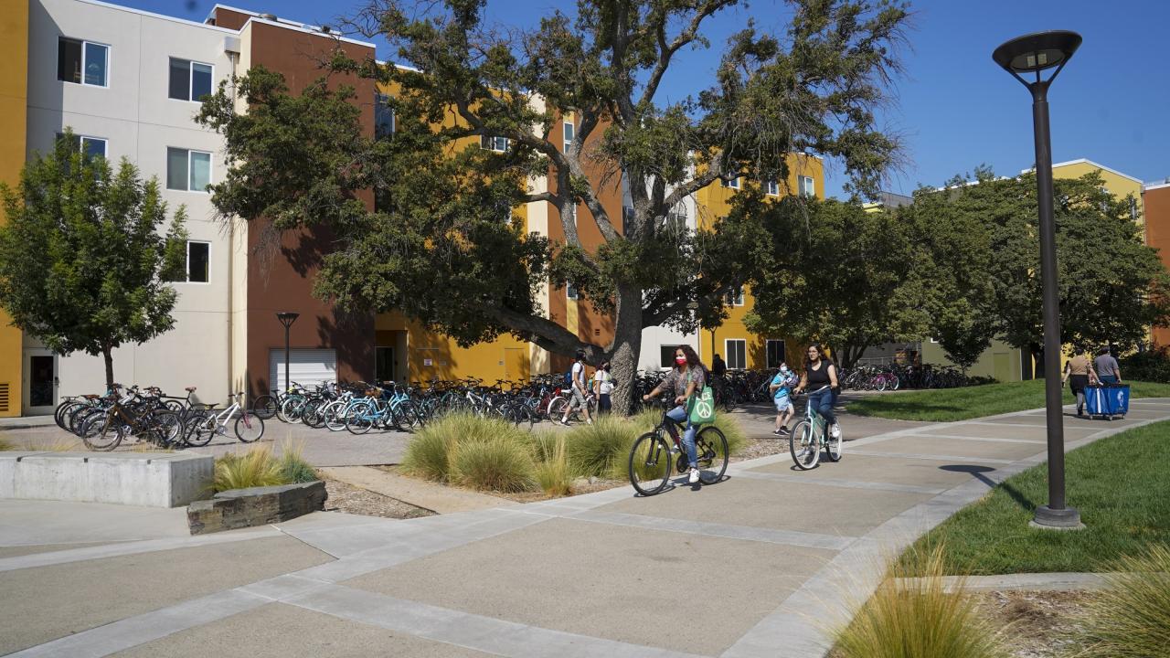 two people riding bikes in front of a large tree in front of a yellow and brown residence hall building