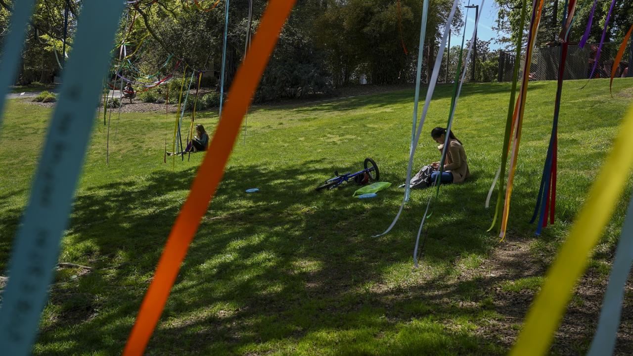 A variety of different colored ribbons are hanging from trees with a grassy hill and people sitting behind them