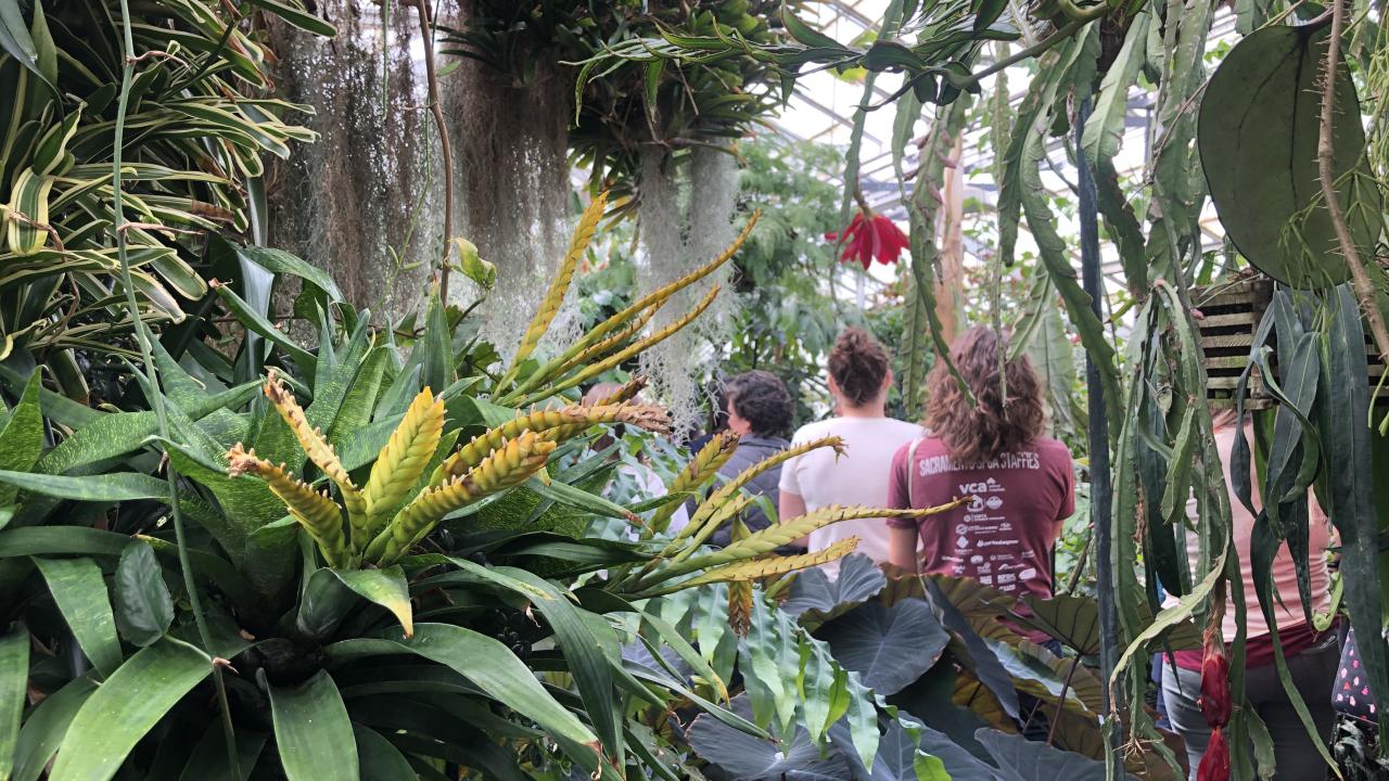 Three staff members standing inside the Botanical Conservatory