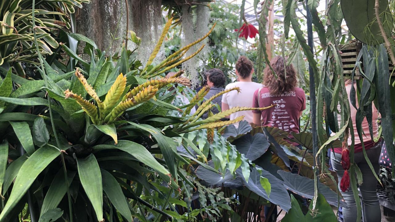 staff members taking a tour of the Botanical Conservatory