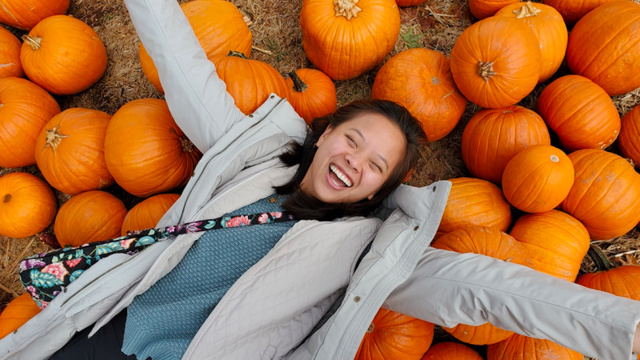 Daphne laying down on multiple pumpkins