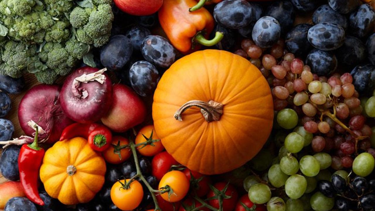 a table of various autumn fruits and veggies