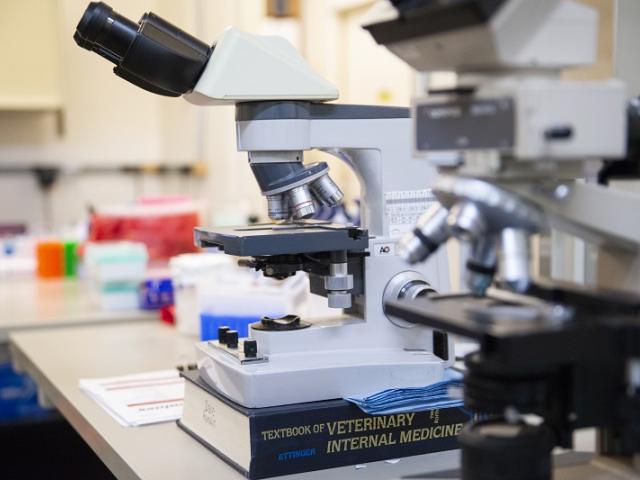 Preparing for Your Lab Safety Review training