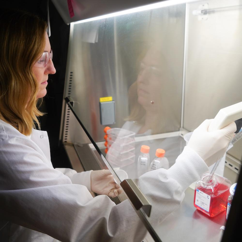 Researcher reaches into an enclosed box with red liquid inside a small container.