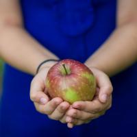 person holding an apple in their hands