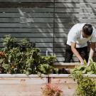 person gardening in a raised planter bed
