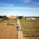 Aerial view of a vineyard expansion project at UC Davis, featuring rows of grapevines, a dirt field, and a group of people working near a tractor. A white truck is parked on a dirt road leading to modern agricultural research buildings in the background. The sky is clear and blue, with a few wispy clouds.