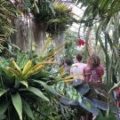 Three staff members standing inside the Botanical Conservatory