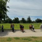 group of people standing next to five horses at the UC Davis Equestrian Center