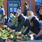 UC Davis community members pose for a photo while working together on a garden bed in the Good Life Garden