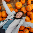 Daphne laying down on multiple pumpkins