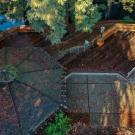 overhead image of wyatt deck in the arboretum surrounded by trees