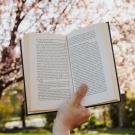 Someone hiding up an open book in front of a blooming cherry blossom tree.