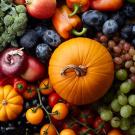 a table of various autumn fruits and veggies
