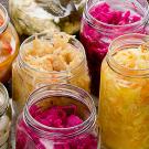 jars of various fermented foods