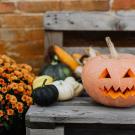 a jack-o-lantern on a wooden bench with other winter squash. a pot of golden mums is next to the bench